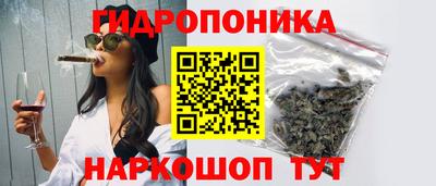 Альфа ПВП Новозыбков