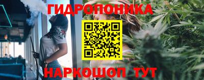 Альфа ПВП Новозыбков