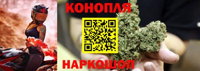 винт Новодвинск