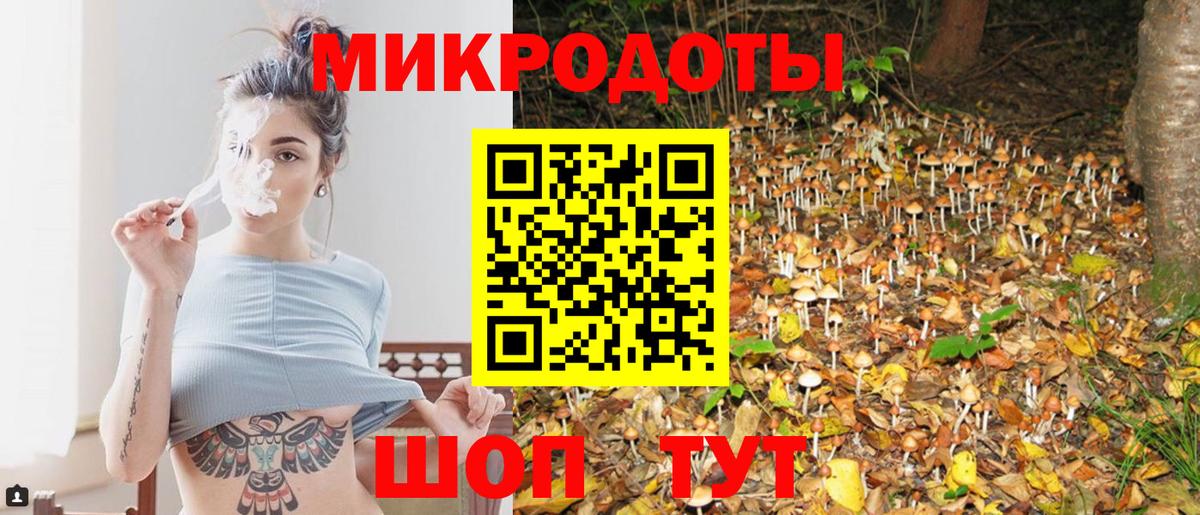 Псилоцибиновые грибы Cubensis  Вход с VPN  Сорочинск 