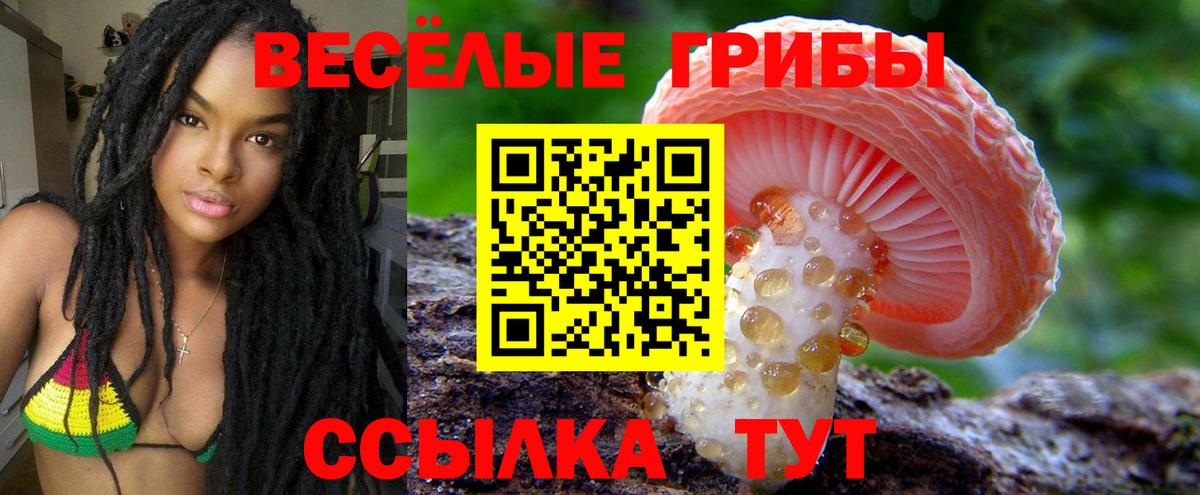 Псилоцибиновые грибы ЛСД Сорочинск
